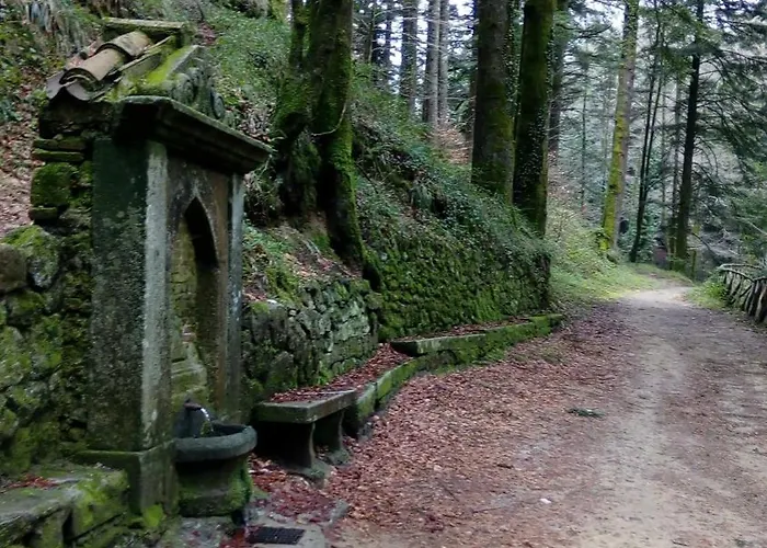 Il Vicoletto 公寓 *